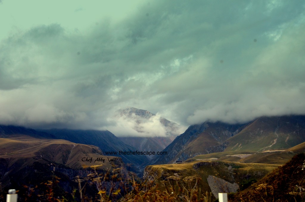 Chef Abby_great caucasus mountain / kazbegi