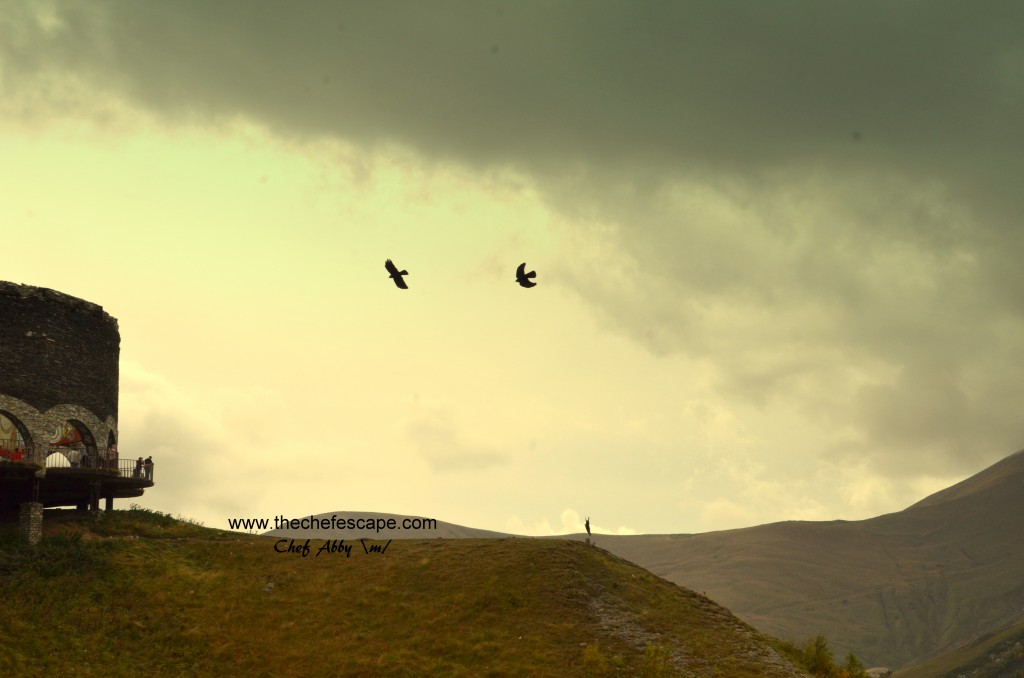 Chef Abby_great caucasus mountain / kazbegi