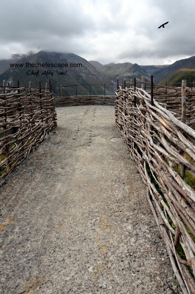 Chef Abby_great caucasus mountain / kazbegi