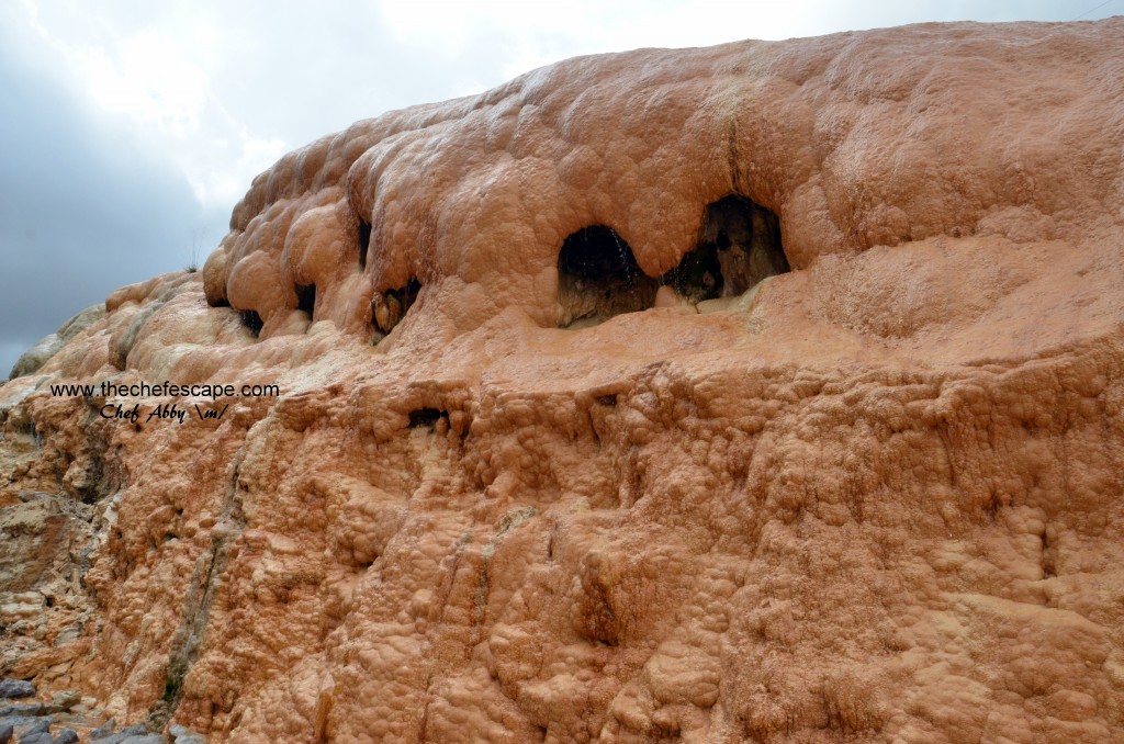Chef Abby_great caucasus mountain / kazbegi