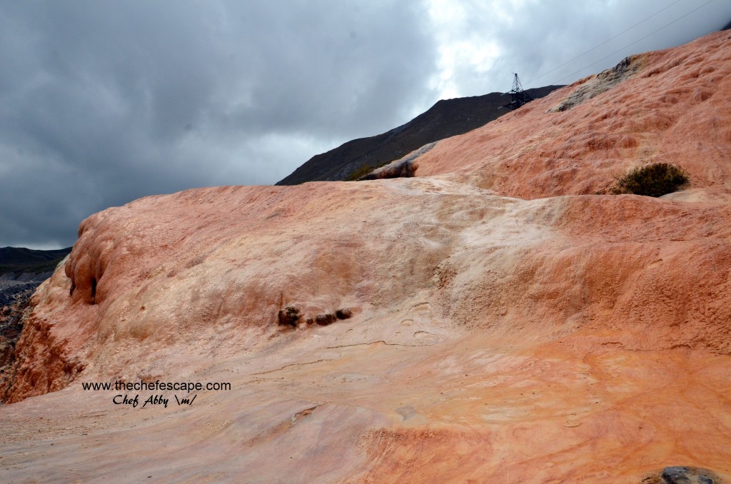 Chef Abby_great caucasus mountain / kazbegi
