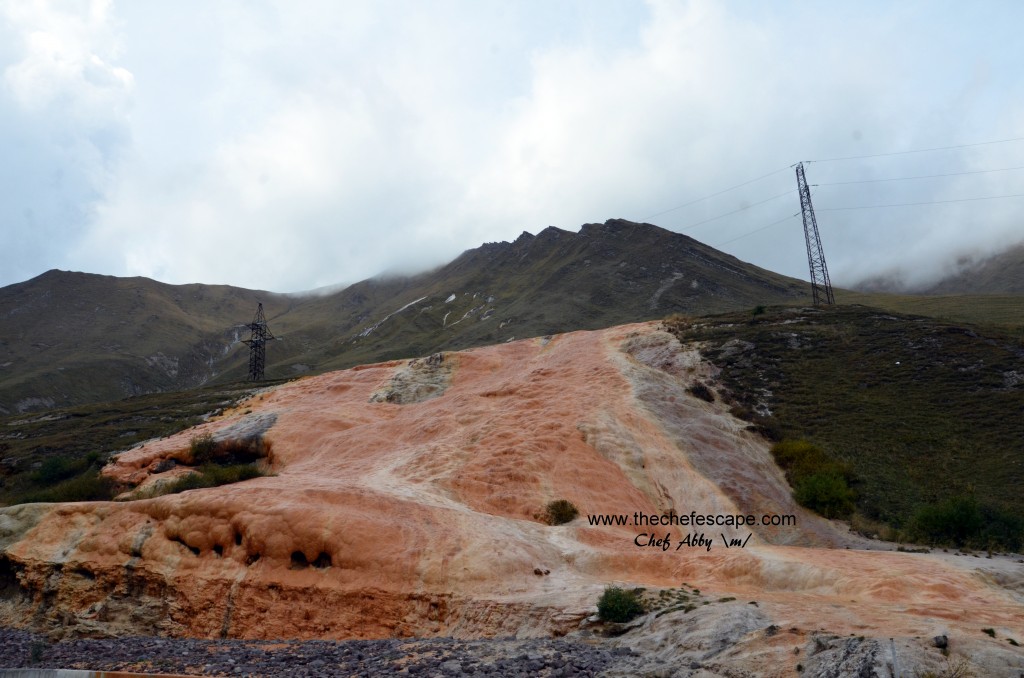 Chef Abby_great caucasus mountain / kazbegi