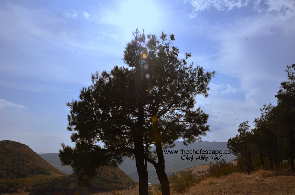 Chef Abby_Mtskheta /Georgia/ Jvari Monastery