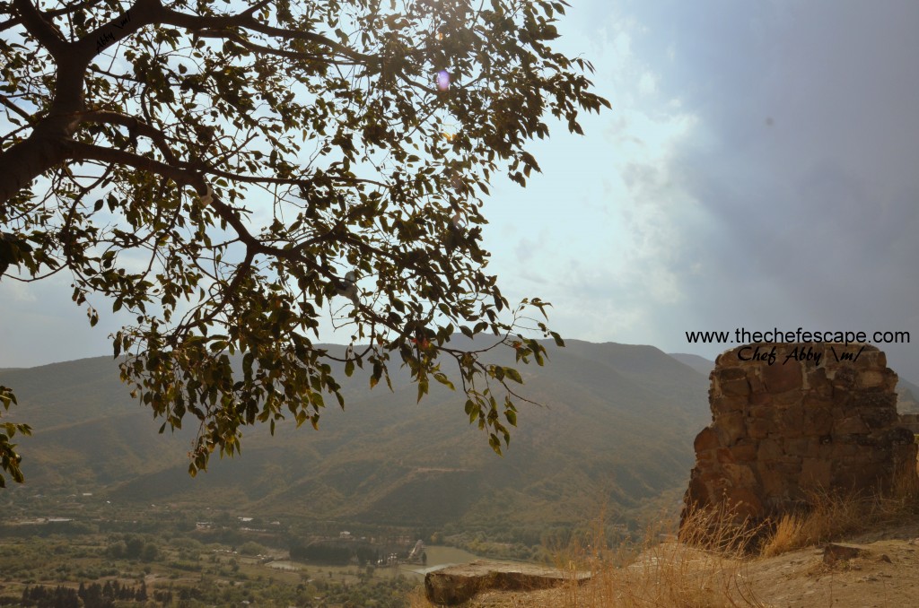 Chef Abby_Mtskheta /Georgia/ Jvari Monastery