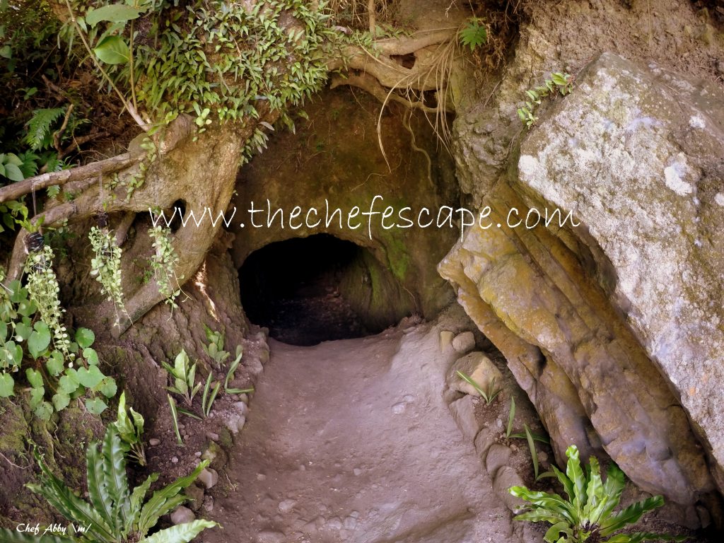 Chef Abby_Northern Batanes 2016