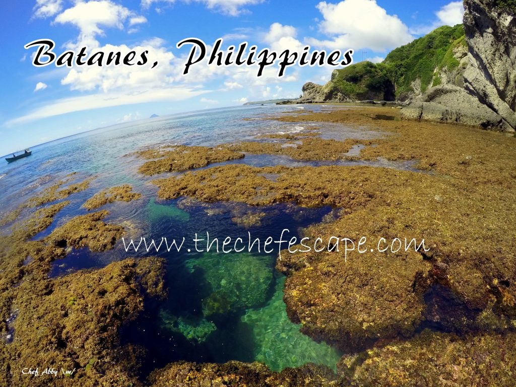 Chef Abby_Southern Batanes 2016