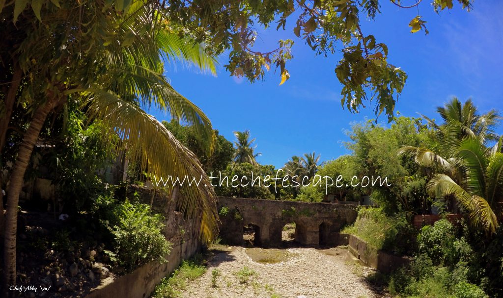 Chef Abby_Southern Batanes 2016