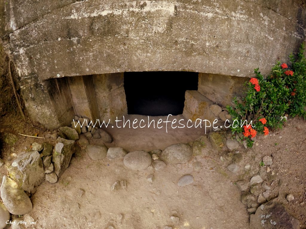 Chef Abby_Northern Batanes 2016