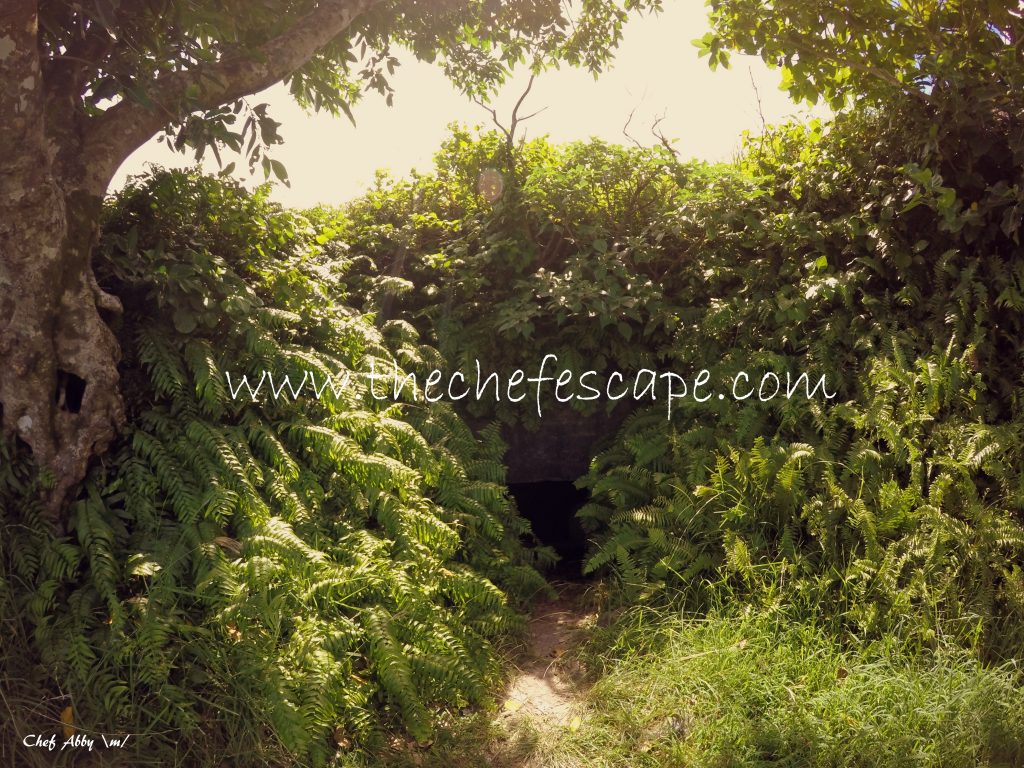 Chef Abby_Northern Batanes 2016