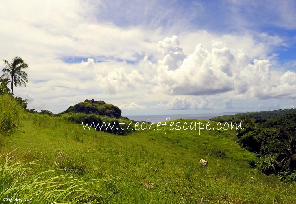 Chef Abby_Northern Batanes 2016