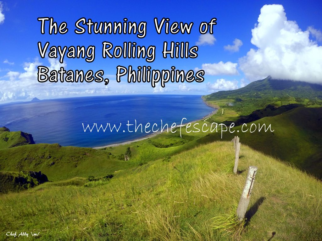 Chef Abby_Northern Batanes 2016