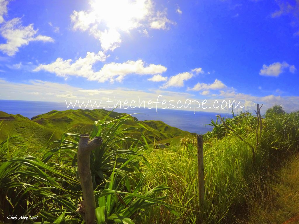 Chef Abby_Northern Batanes 2016